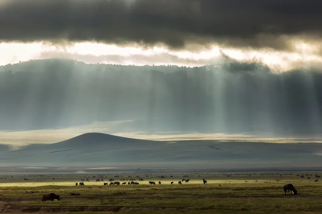 Sunlight pierces the clouds over a wildebeest herd at the Ngorongoro National Park, one of the must-visit destinations in this Tanzania travel guide.